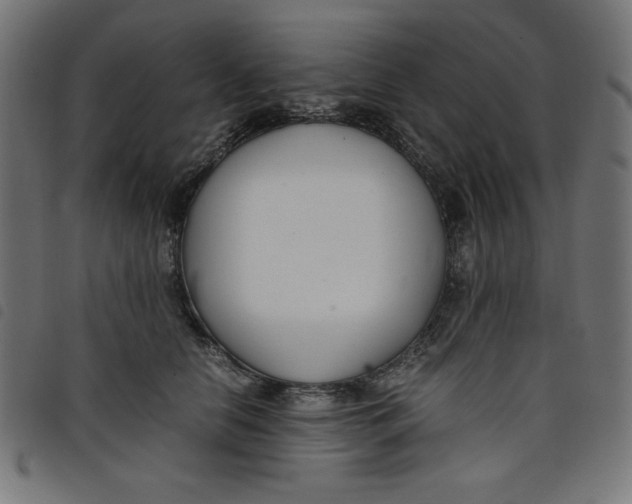 X0000098100658200804251406