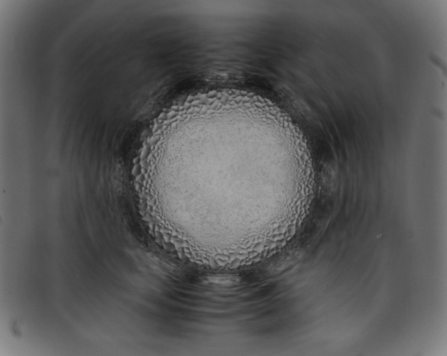X0000098100659200804251406