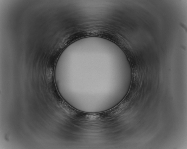 X0000098100660200804251406