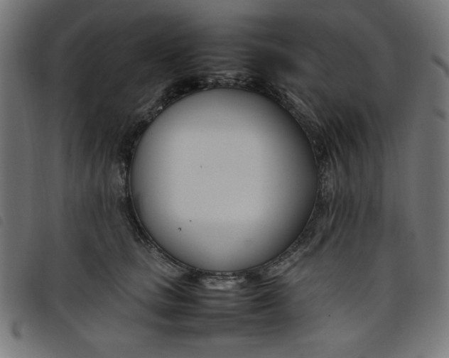 X0000098100661200804251406