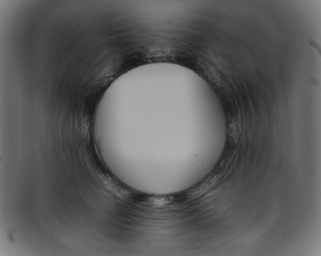 X0000098100662200804251406