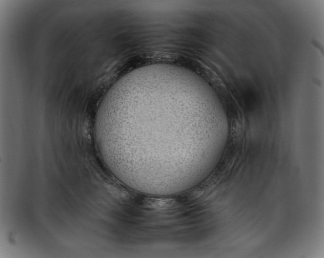 X0000098100663200804251406