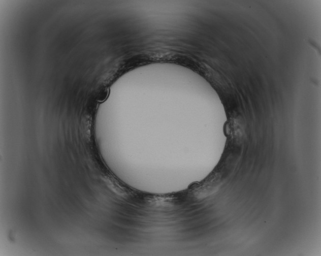 X0000098100664200804251406