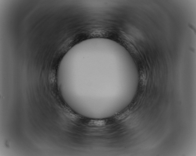 X0000098100665200804251406