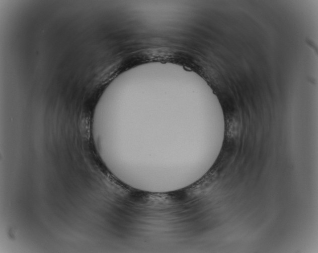 X0000098100666200804251406