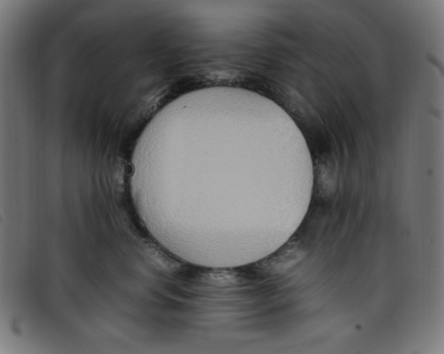 X0000098100668200804251406