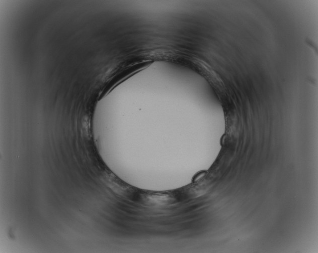 X0000098100669200804251406