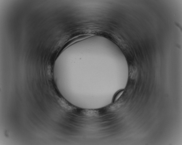 X0000098100670200804251406