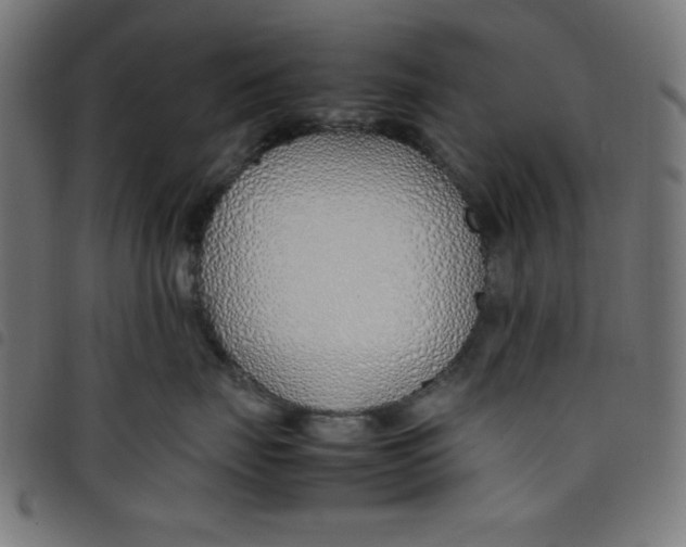 X0000098100671200804251406