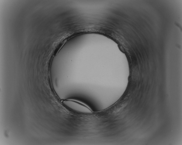 X0000098100673200804251405