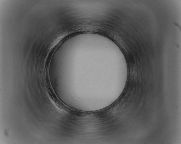 X0000098100674200804251405