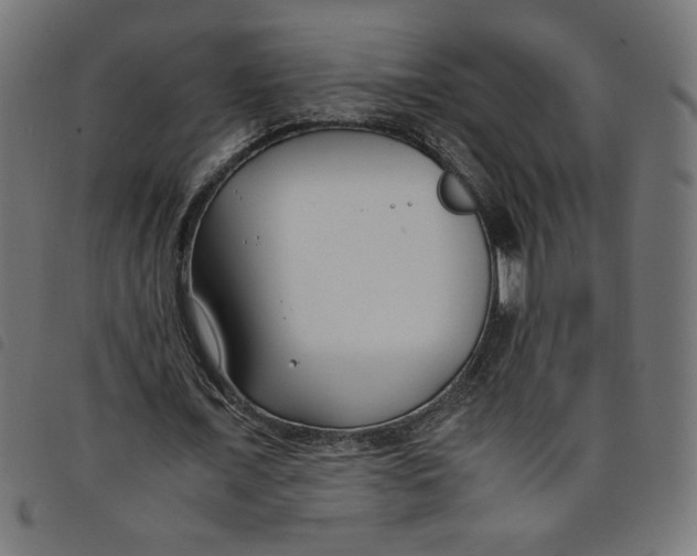 X0000098100675200804251405