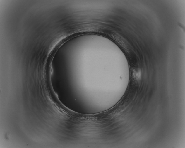 X0000098100676200804251405