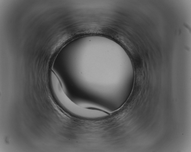 X0000098100677200804251405