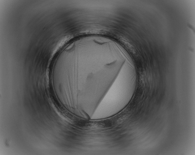 X0000098100678200804251405
