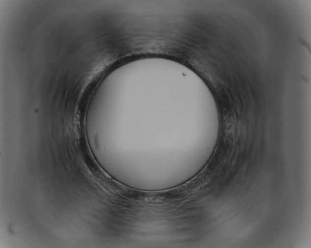 X0000098100680200804251405