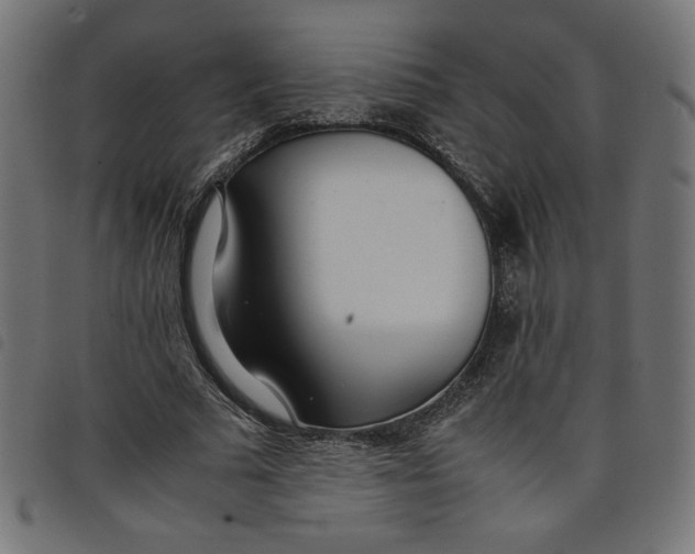 X0000098100681200804251405