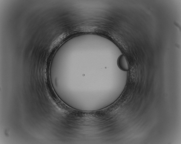 X0000098100682200804251405