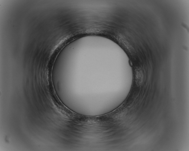 X0000098100684200804251405