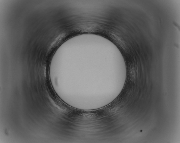 X0000098100686200804251405