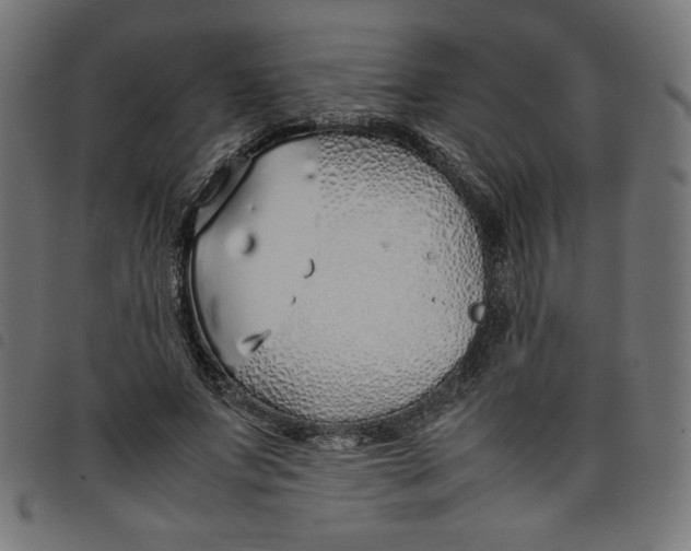 X0000098100687200804251405