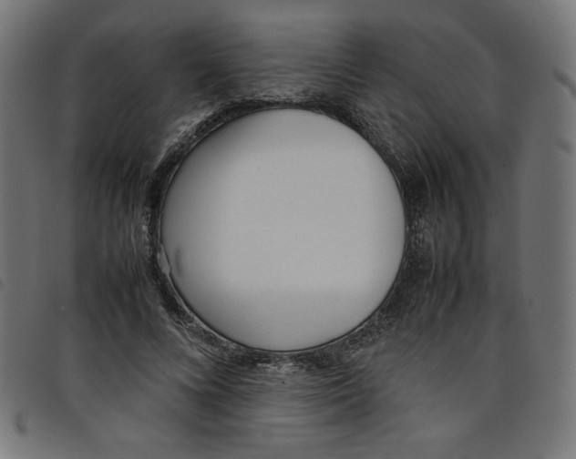 X0000098100688200804251405