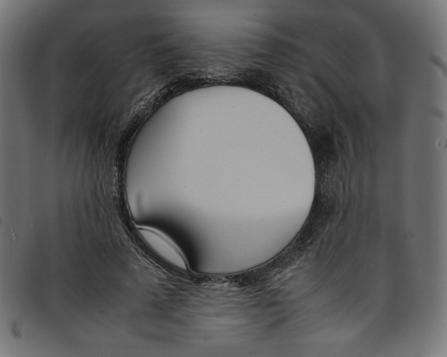 X0000098100689200804251405