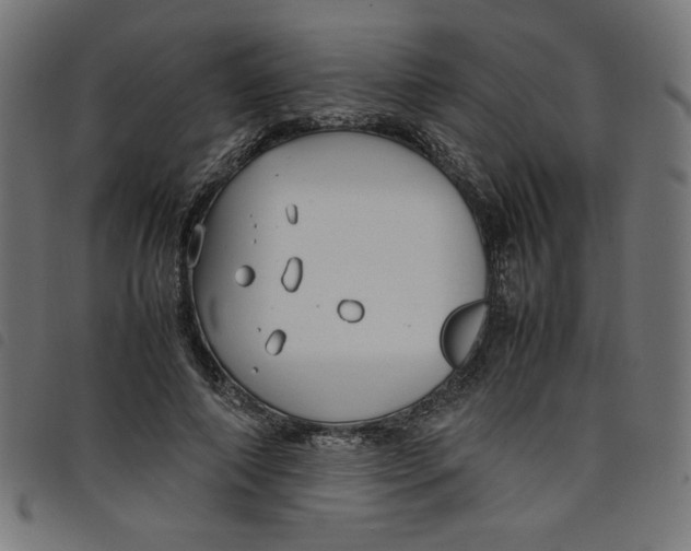 X0000098100690200804251405