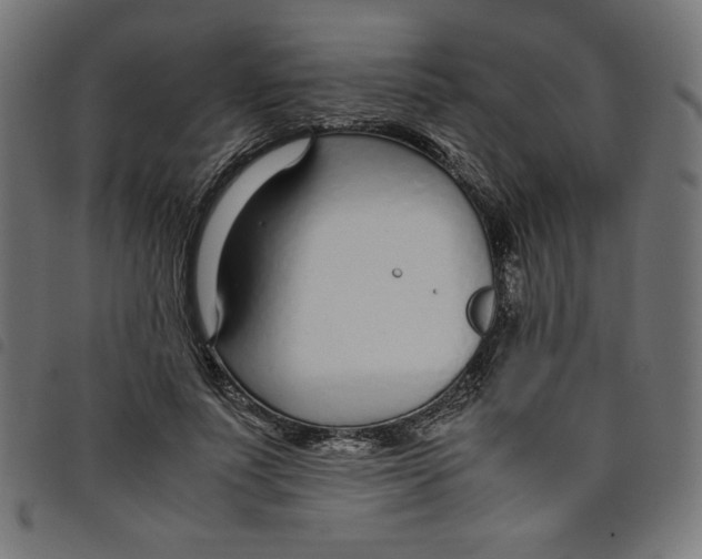 X0000098100691200804251405