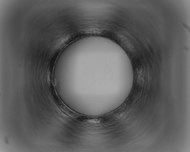 X0000098100692200804251405