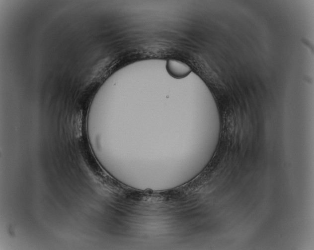 X0000098100694200804251405