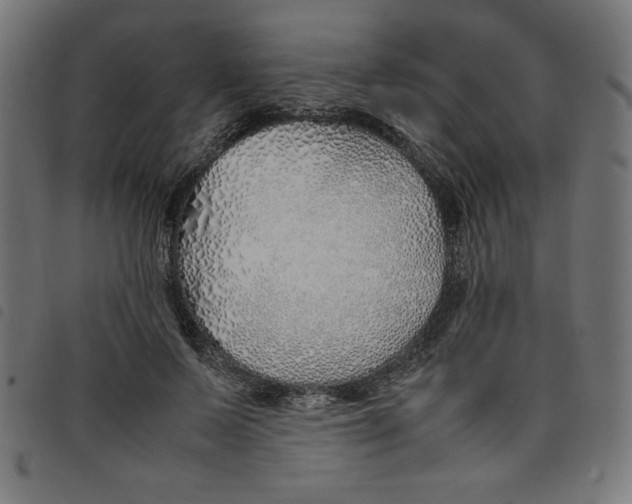 X0000098100695200804251405