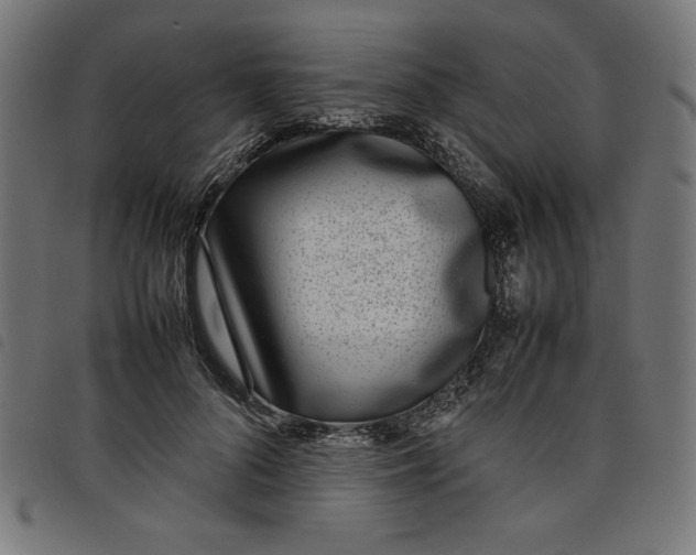 X0000098100696200804251405