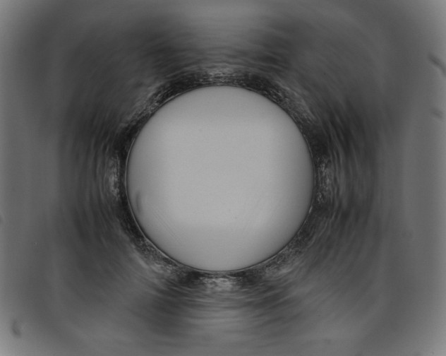 X0000098100698200804251405