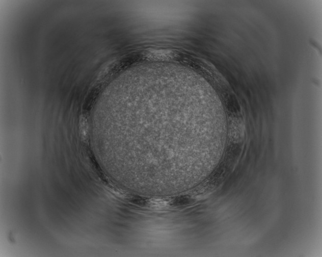 X0000098100701200804251405