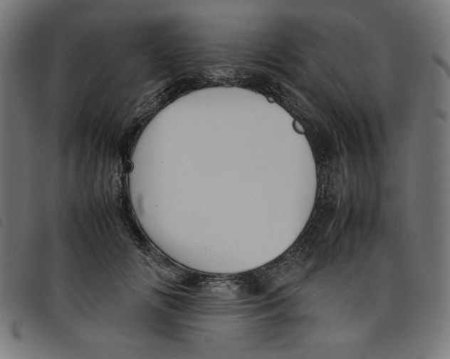 X0000098100702200804251405