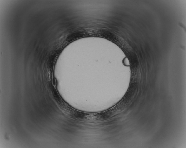 X0000098100703200804251405