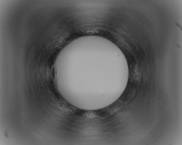 X0000098100704200804251405