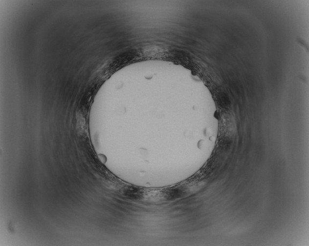 X0000098100705200804251405
