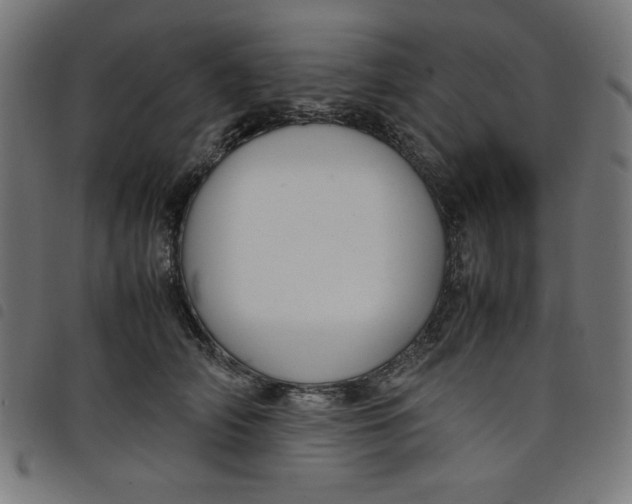 X0000098100706200804251405