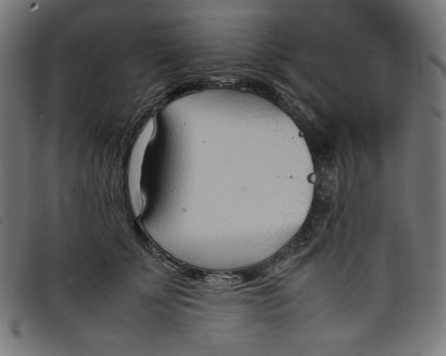 X0000098100707200804251405