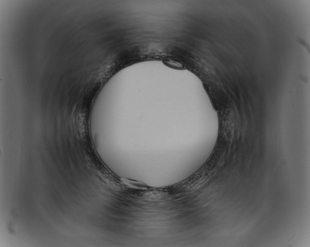 X0000098100708200804251405