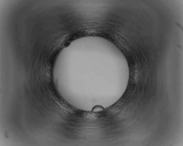 X0000098100710200804251404