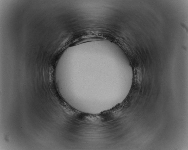 X0000098100712200804251404