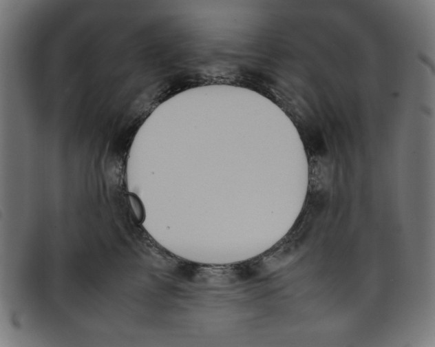 X0000098100713200804251404