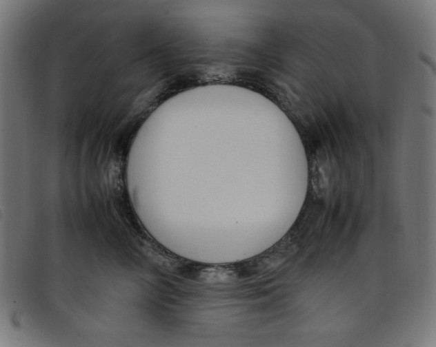 X0000098100714200804251404