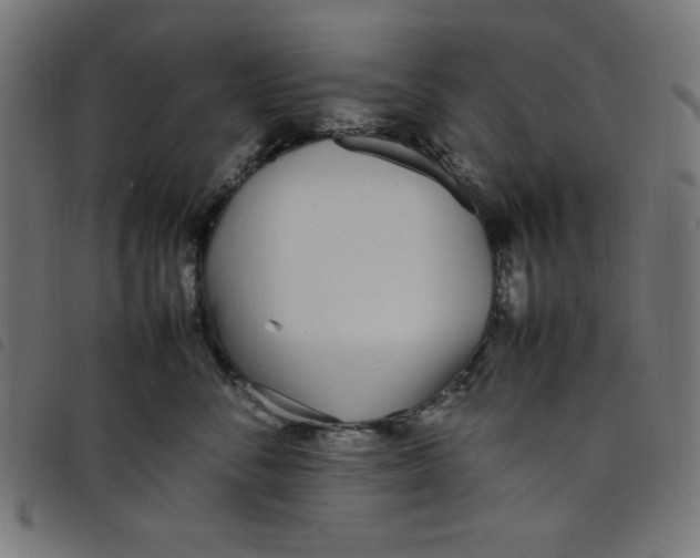 X0000098100716200804251404