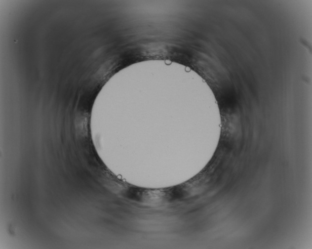 X0000098100717200804251404