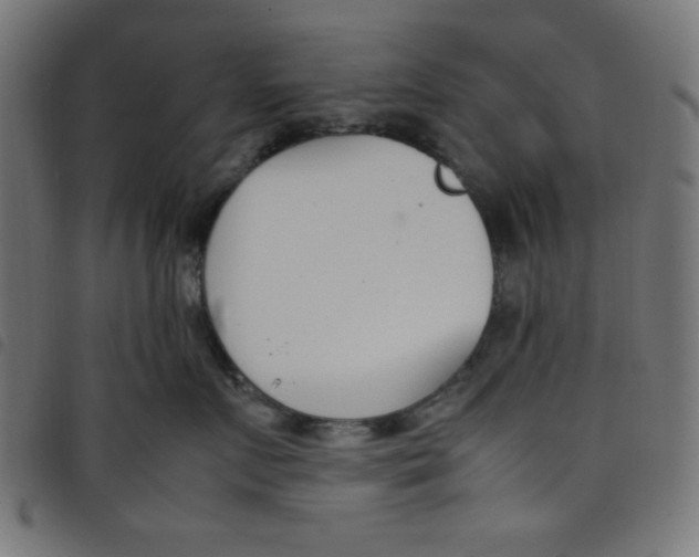 X0000098100719200804251404