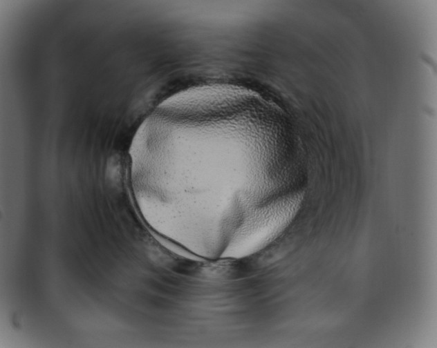X0000098100720200804251404